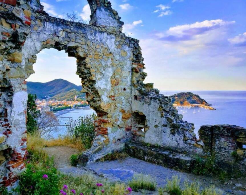 Delle Mimose Apartment Sestri Levante